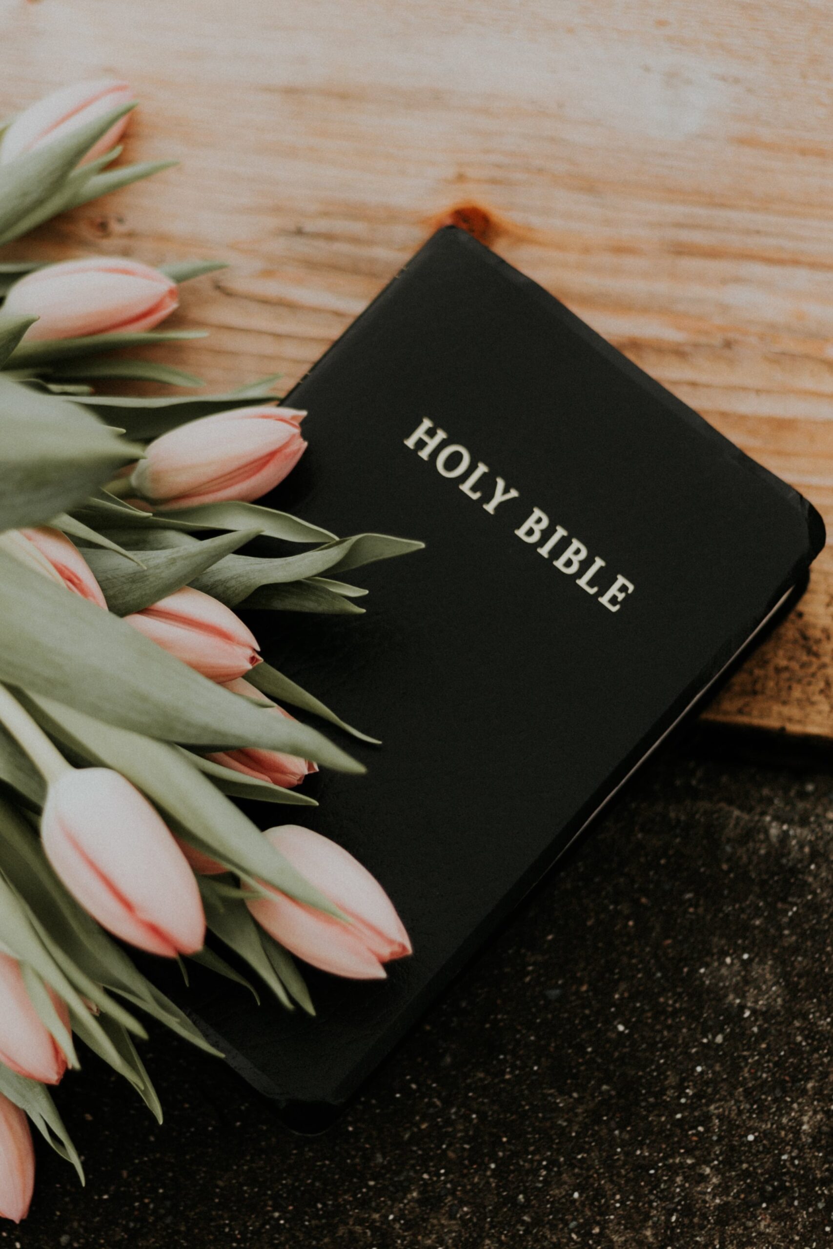 bible-min bible-min